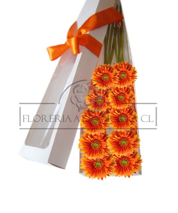 Caja con 20 Gerberas